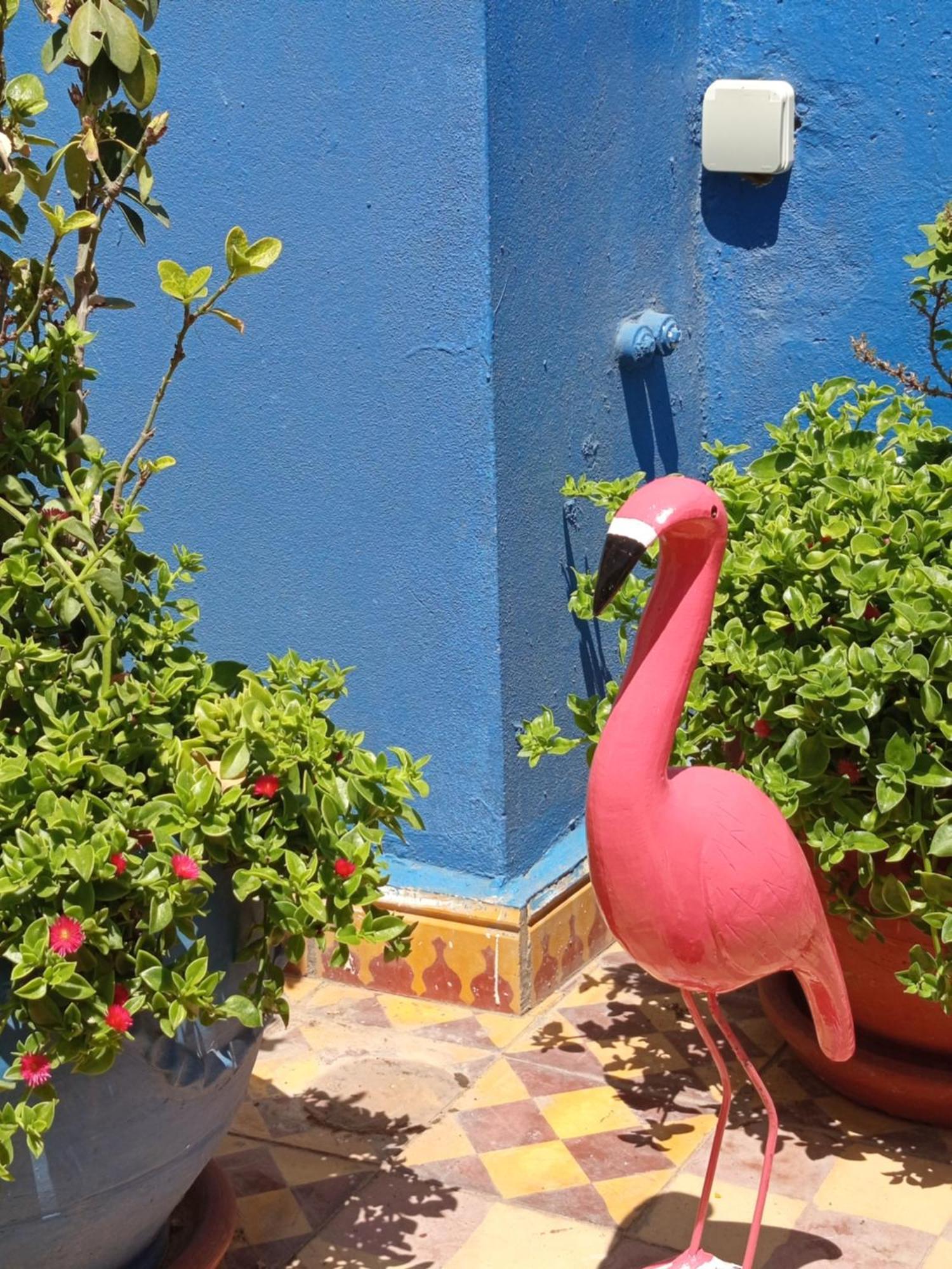 Riad Derb El Aarsa Марракеш Экстерьер фото